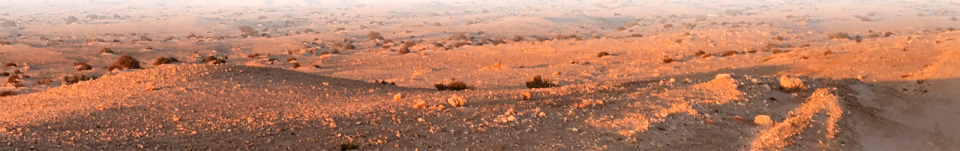 Background image desert